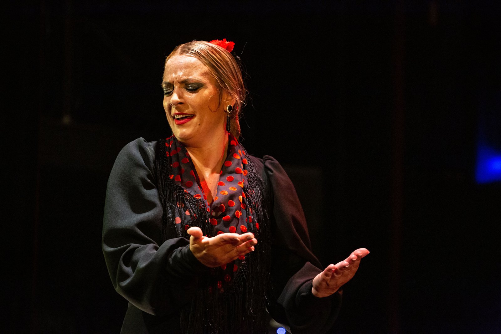 Espectáculo flamenco